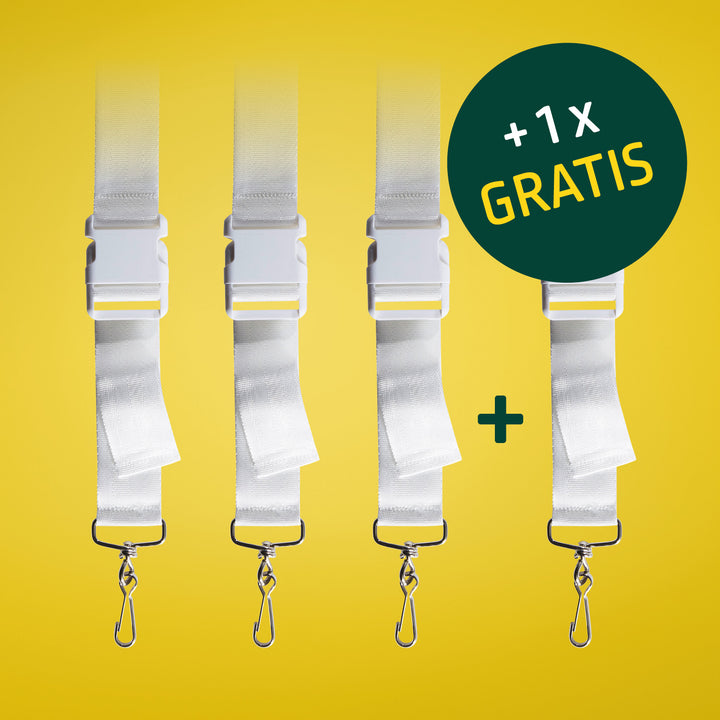 Spar-Set: 4 für 3 Gurtband mit Schnallenverschluss